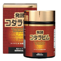 発酵コタラヒム